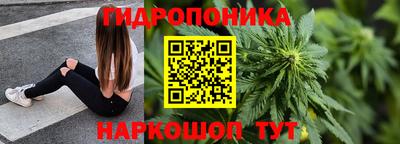 прущие грибы Ирбит