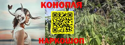 прущие грибы Ирбит