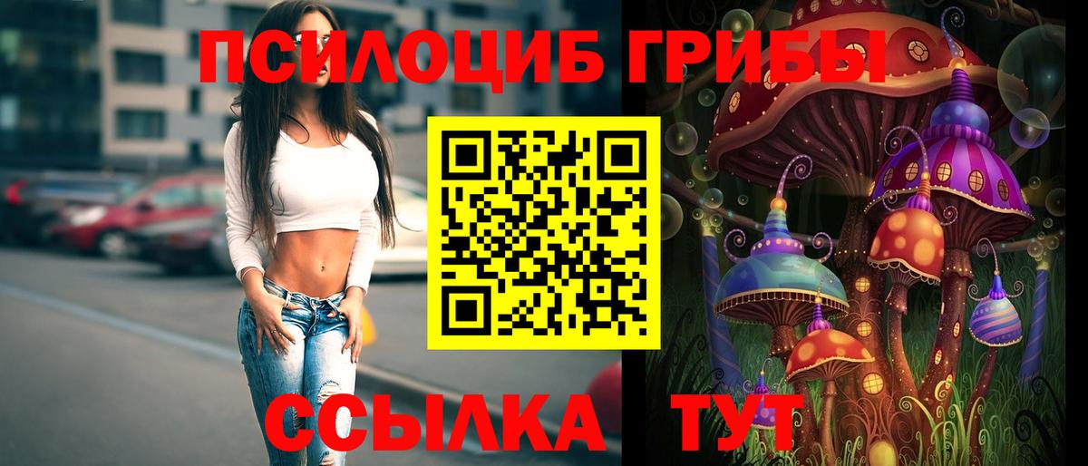 Псилоцибиновые грибы GOLDEN TEACHER Владикавказ