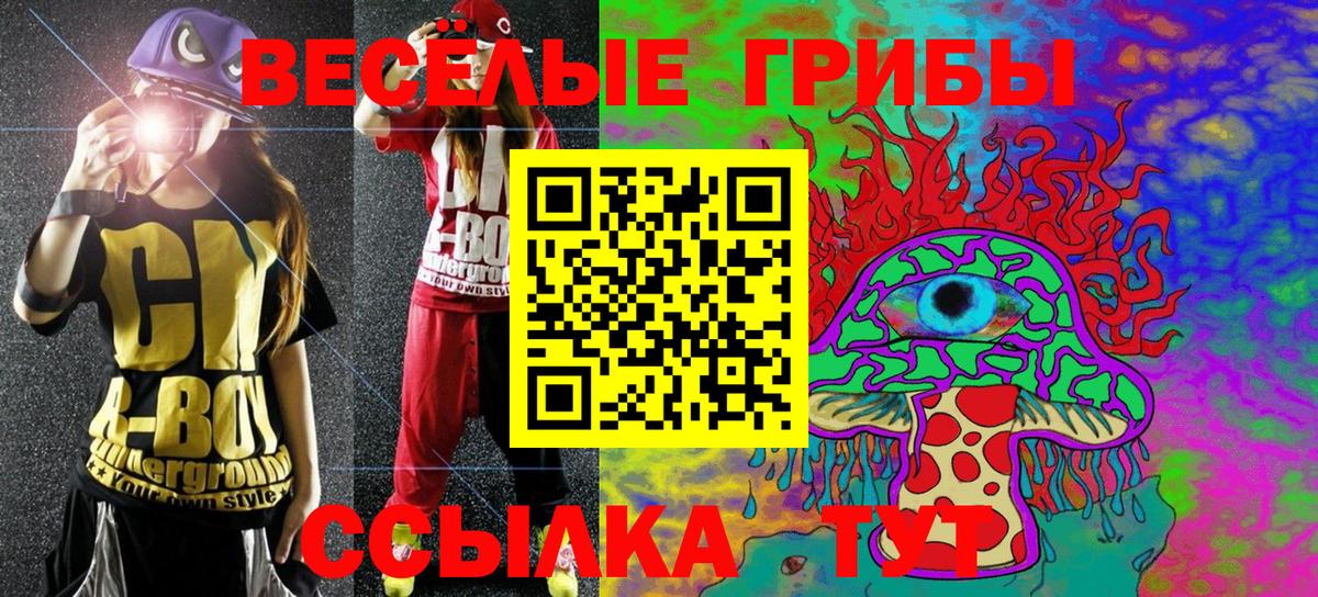 Владикавказ  Псилоцибиновые грибы GOLDEN TEACHER  Вход с VPN  Псилоцибиновые грибы GOLDEN TEACHER 